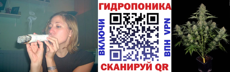 Шишки марихуана семена  Анадырь 